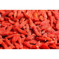 A Grade dark red dried fruit goji berries wolfberry